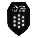 Autoflower Mysterie Zaden 10 (Royal Queen Seeds)