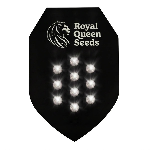 Autoflower Mysterie Zaden 10 (Royal Queen Seeds)