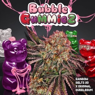 BubbleGummieZ (T.H. Seeds) Feminized