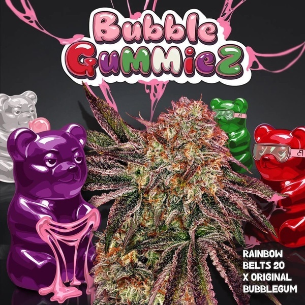 BubbleGummieZ (T.H. Seeds) Feminized