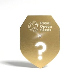 Gefeminiseerde F1 Mysterie Zaden 1 (Royal Queen Seeds)