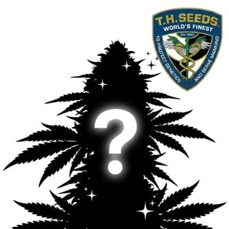 Autoflower Mysterie Zaden 2 (T.H. Seeds)
