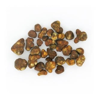 Fantasia Magic Truffels 