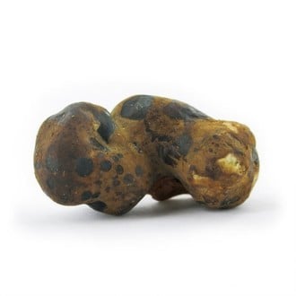 Fantasia Magic Truffels 