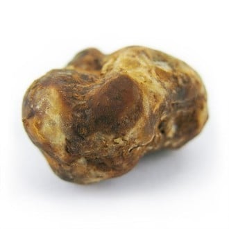 Pajaritos Magic Truffels