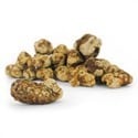 Mokum Magic Truffels