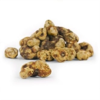 Tampanensis Magic Truffels