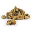Tampanensis Magic Truffels