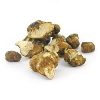 Tampanensis Magic Truffels