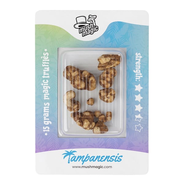Tampanensis Magic Truffels
