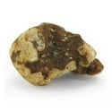 Atlantis Magic Truffels