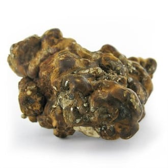 Hollandia Magic Truffels