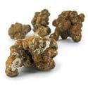 Utopia Magic Truffels