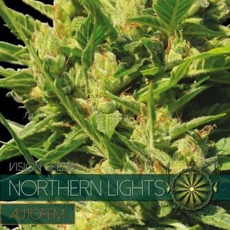 Northern Lights Autoflowering (Vision Seeds) feminized