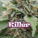 PainKiller (Dr. Underground) feminized