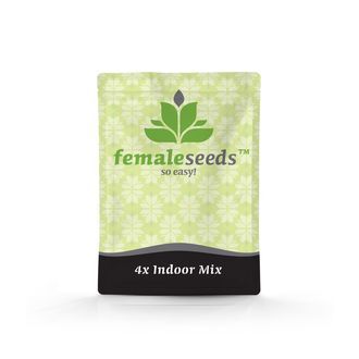 Indoor Mix (Female Seeds) feminized