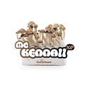 Paddo Grow Kit Fresh Mushrooms 'McKennaii'