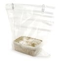 Paddo Grow Kit Fresh Mushrooms 'McKennaii'