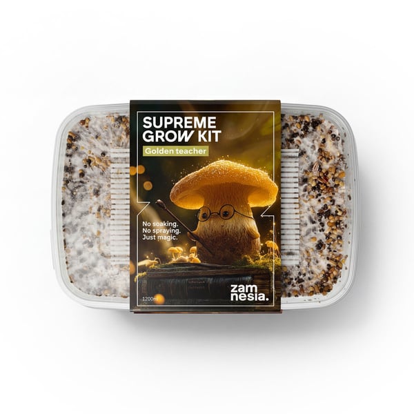 Paddo Grow Kit Zamnesia SUPREME 'Golden Teacher'