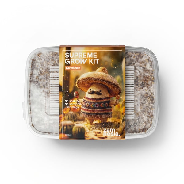Paddo Grow Kit Zamnesia SUPREME 'Mexican'