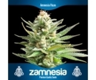 3 gratis wietzaden (Zamnesia Seeds)