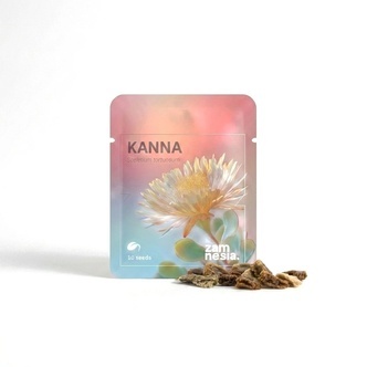 Kanna (Sceletium tortuosum) 10 zaaden