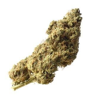 White Choco Haze (Amsterdam Genetics) feminized
