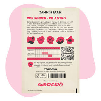 Koriander (Corandrum sativum) Buddy Pack