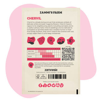 Kervel (Anthriscus cerefolium) Buddy Pack