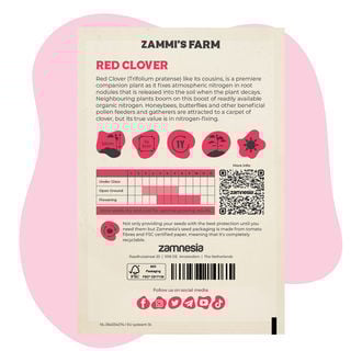 Rode Klaver (Trifolium pratense) Buddy Pack