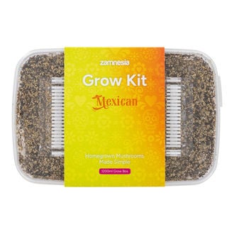 Zamnesia Grow Kit āMexicanā
