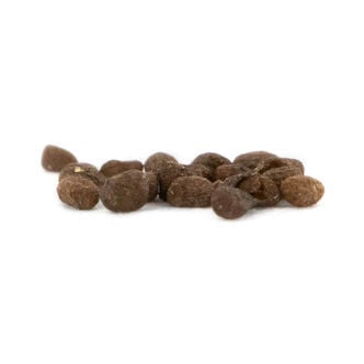 Tobacco (Nicotiana tabacum) 20 zaden