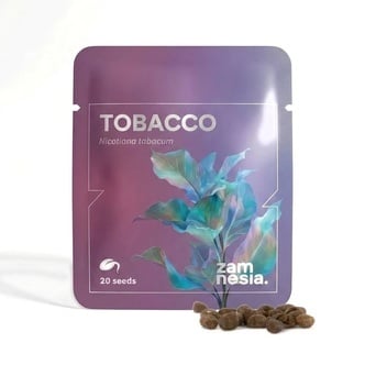 Tobacco (Nicotiana tabacum) 20 zaden