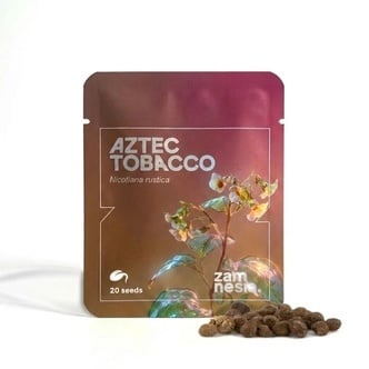 Aztec Tobacco (Nicotiana rustica) 20 zaden