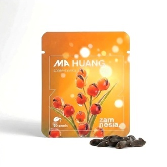 Ma Huang Zaden (Ephedra sinica) 20 Zaden
