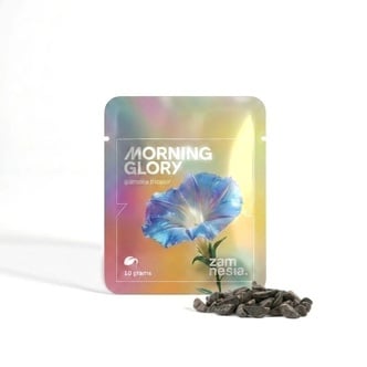 Morning Glory Zaden (Ipomoea tricolor) 10g