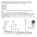 Llimonet Haze Classic THC (Elite Seeds ) feminized