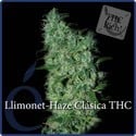 Llimonet Haze Classic THC (Elite Seeds ) feminized