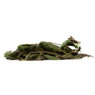 Bobinsana (Calliandra angustifolia) 20 gram