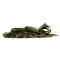 Bobinsana (Calliandra angustifolia) 20 gram