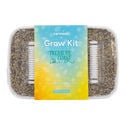 Zamnesia Grow Kit 'Treasure Coast'