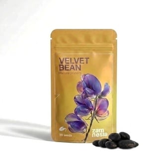 Velvet Bean Zaden (Mucuna pruriens)