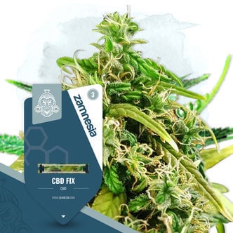 CBD Fix (Zamnesia Seeds) Feminized