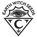 Garlic Haze (Earth Witch Seeds) regular