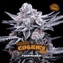 Double Cookies (BSF Seeds) feminized
