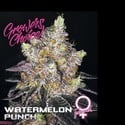 Watermelon Punch (Growers Choice) feminized