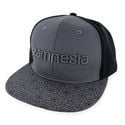 Zamnesia Snapback Cap Grijs