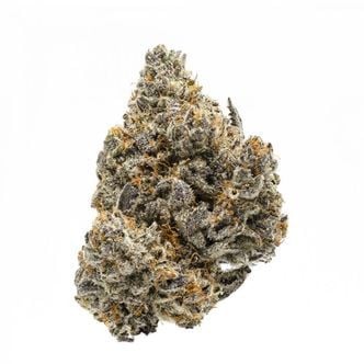 Rainbow Runtz (Growers Choice) feminized