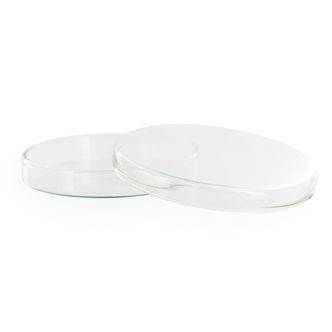 Petrischaaltje Van Natronkalkglas