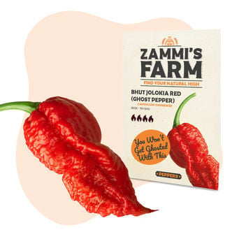 Bhut Jolokia (Ghost Pepper) Zaden